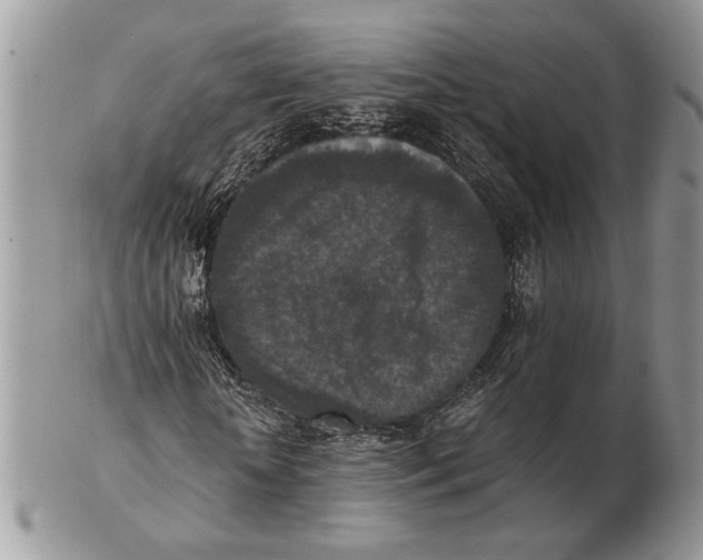 X0000102390818200808221823