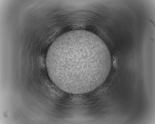 X0000102390819200808221823