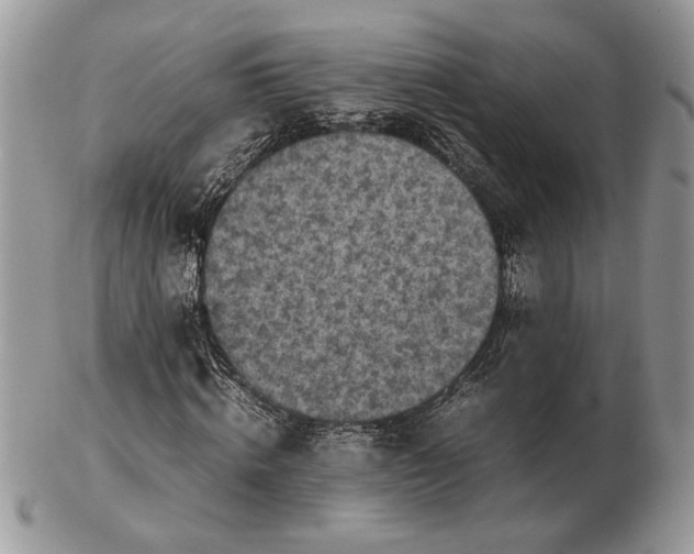 X0000102390820200808221823