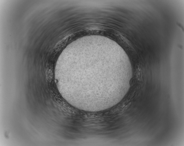 X0000102390821200808221823