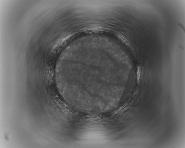 X0000102390822200808221823