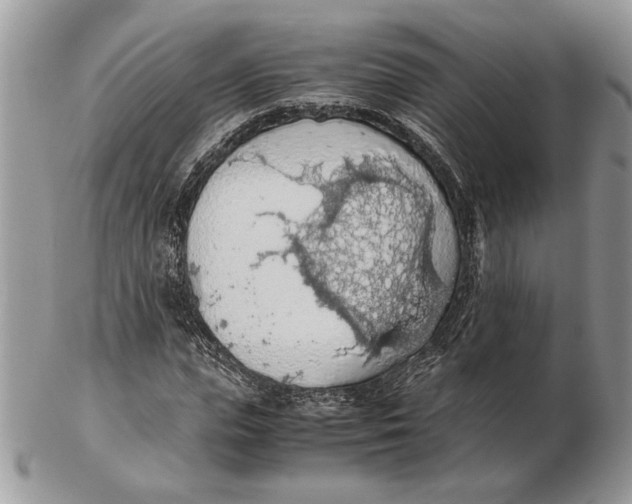 X0000102390823200808221823