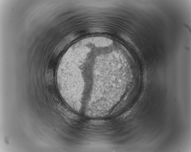 X0000102390825200808221823