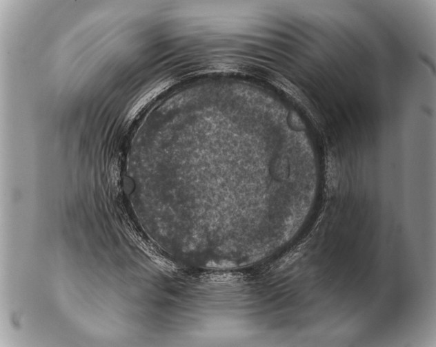 X0000102390826200808221823