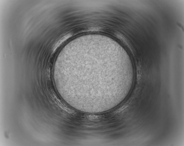 X0000102390827200808221823