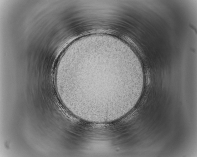 X0000102390828200808221823