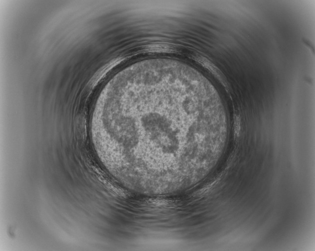 X0000102390829200808221823