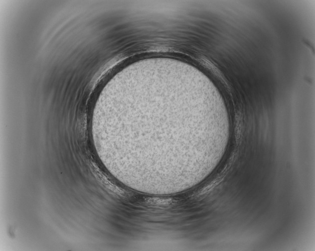 X0000102390831200808221823