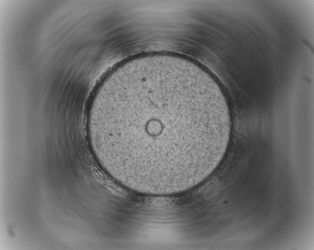 X0000102390832200808221823