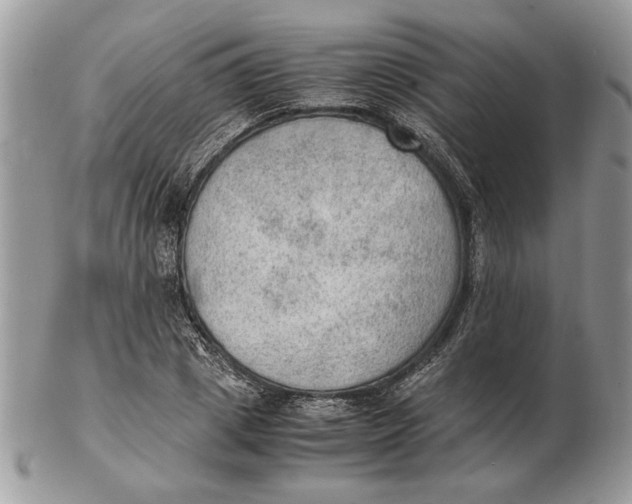 X0000102390833200808221823