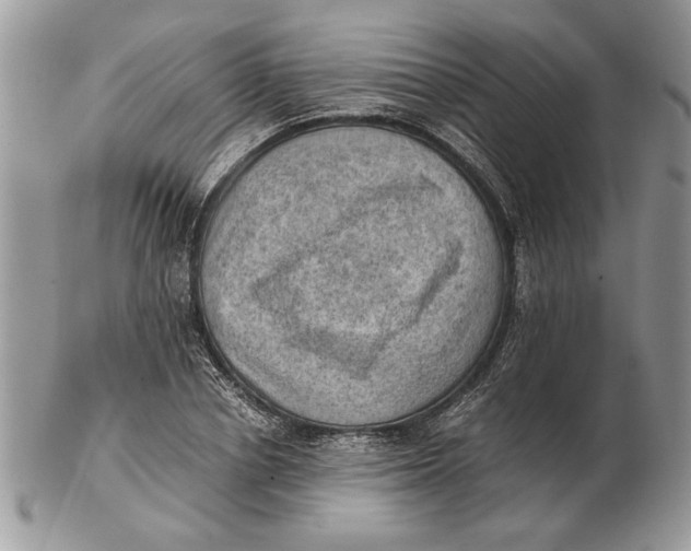 X0000102390834200808221823