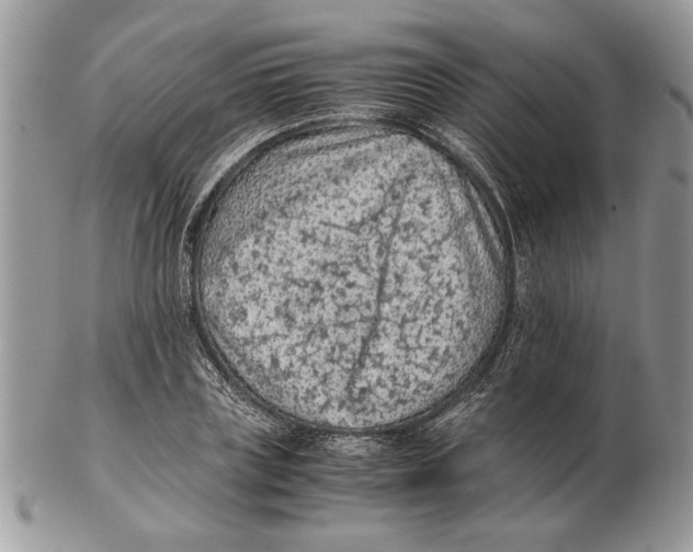 X0000102390835200808221823