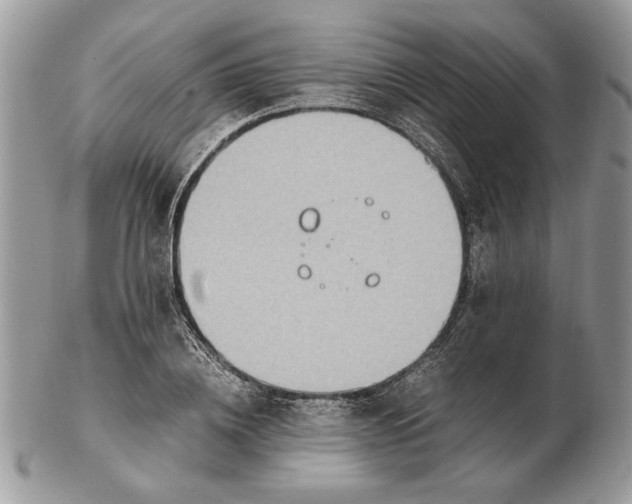 X0000102390836200808221823