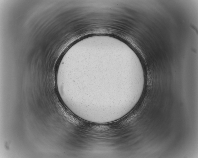 X0000102390837200808221823