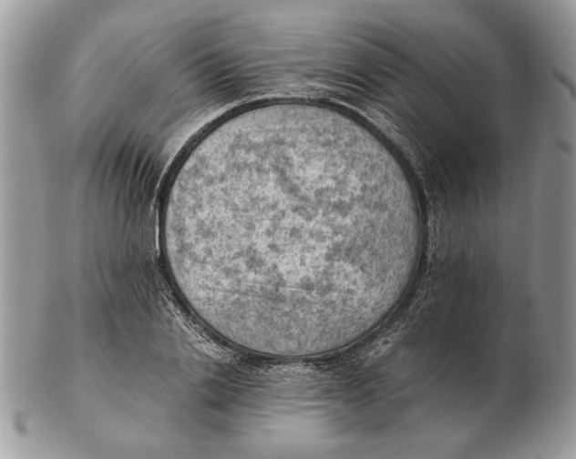 X0000102390838200808221823