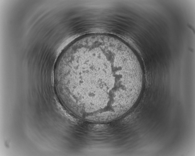 X0000102390839200808221823