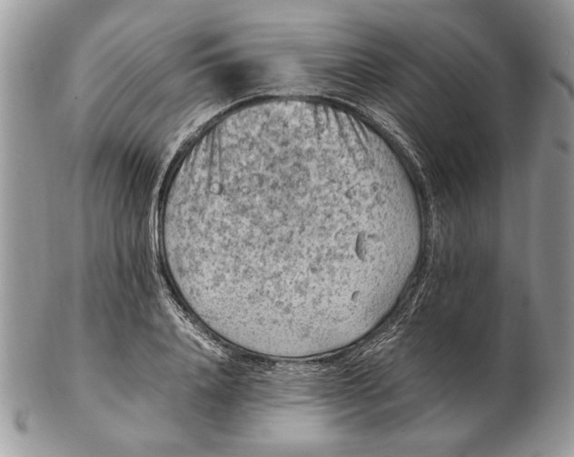 X0000102390840200808221823