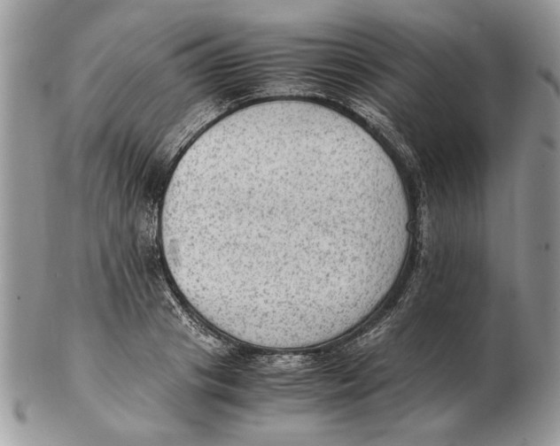 X0000102390841200808221823