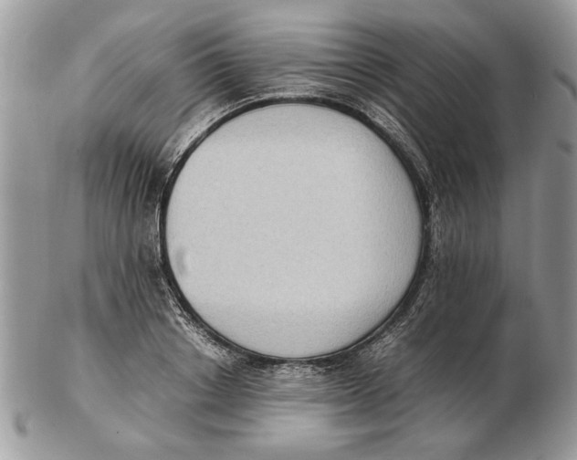 X0000102390842200808221823