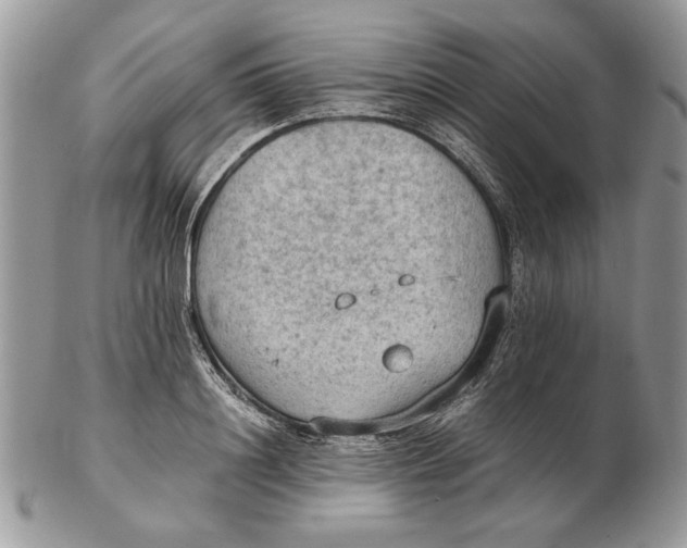 X0000102390844200808221823