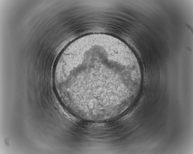 X0000102390845200808221823