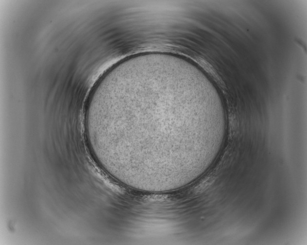 X0000102390846200808221823