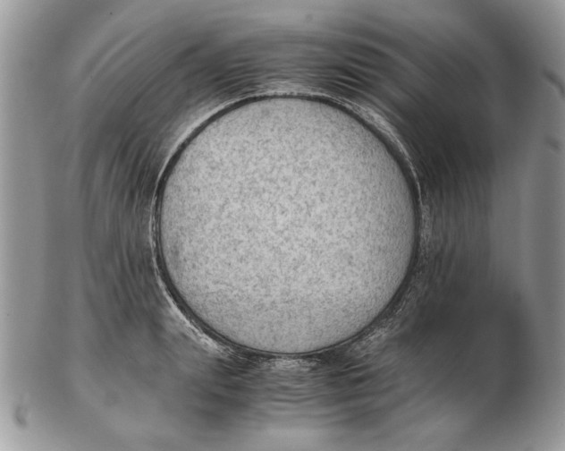 X0000102390847200808221823