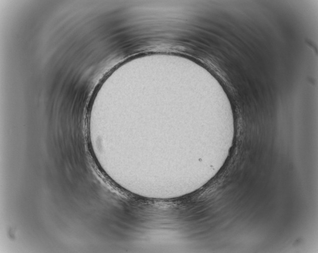 X0000102390848200808221823