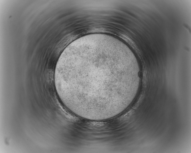 X0000102390849200808221823