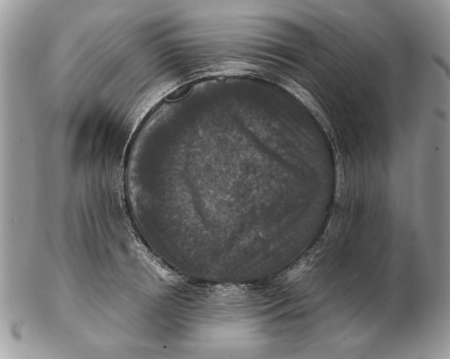 X0000102390850200808221823