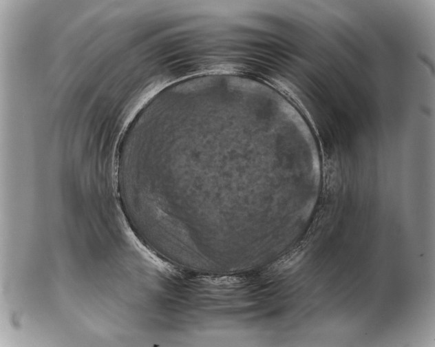 X0000102390851200808221823