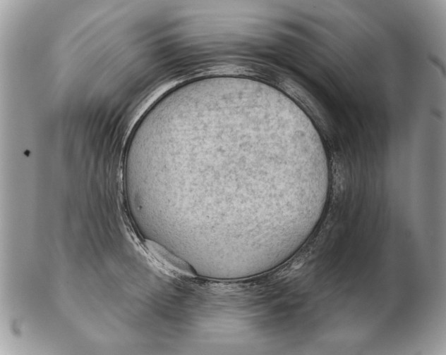 X0000102390852200808221823