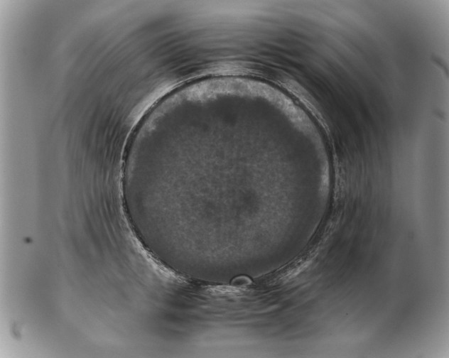 X0000102390853200808221823