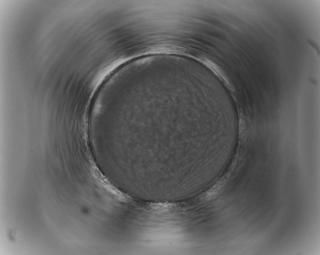 X0000102390854200808221823