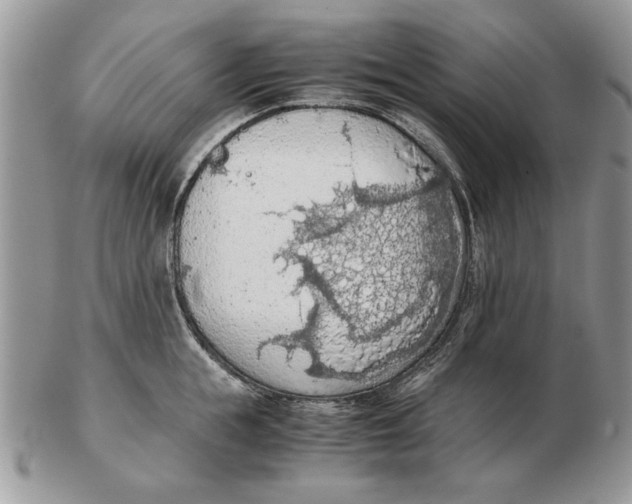 X0000102390855200808221823