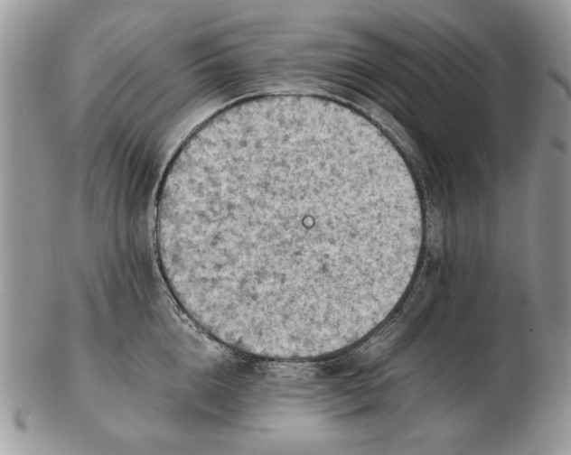 X0000102390856200808221823