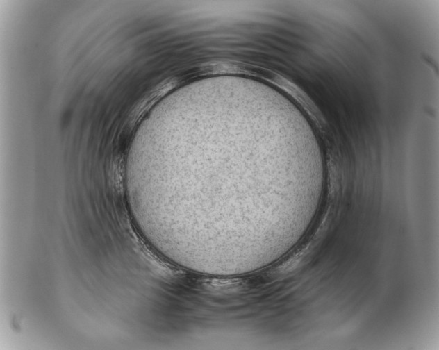 X0000102390857200808221823