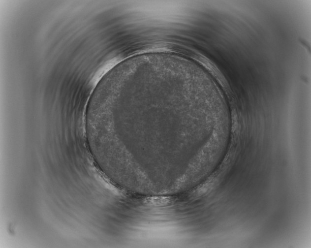 X0000102390858200808221823