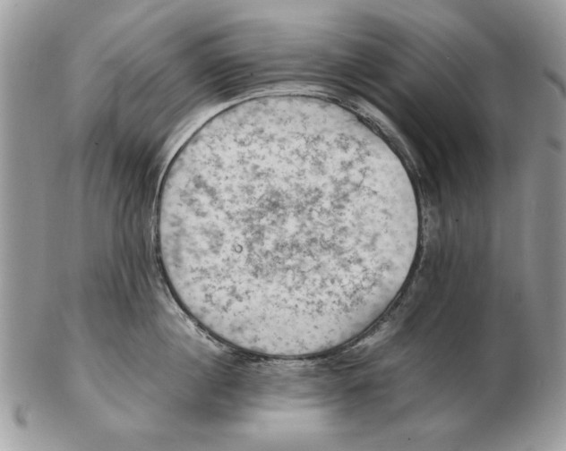 X0000102390860200808221823