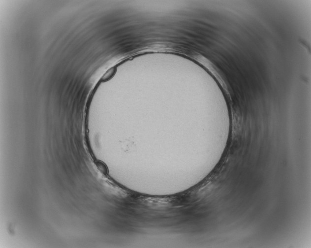 X0000102390861200808221823