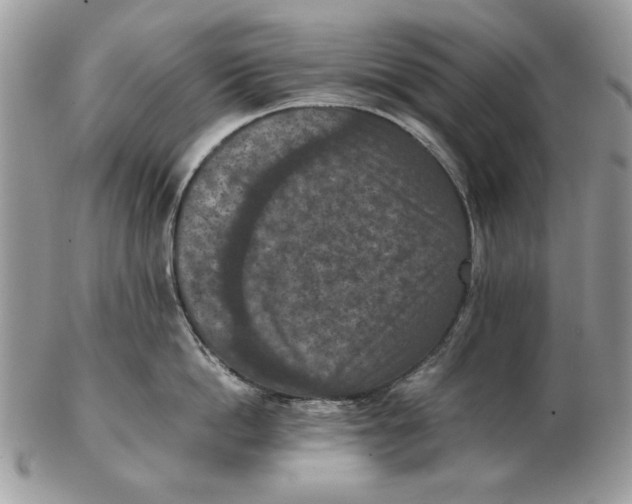 X0000102390862200808221823