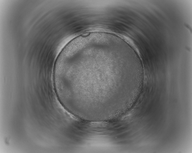 X0000102390863200808221823