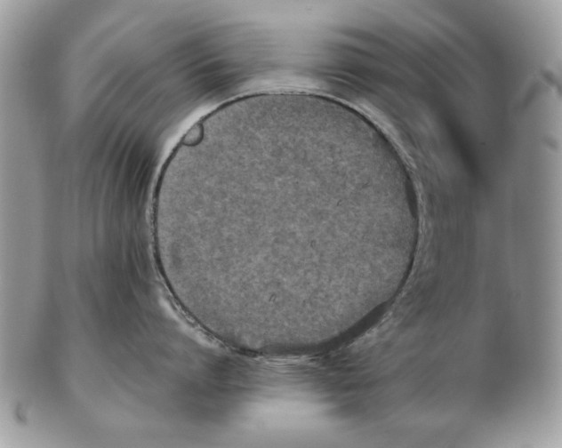 X0000102390864200808221823