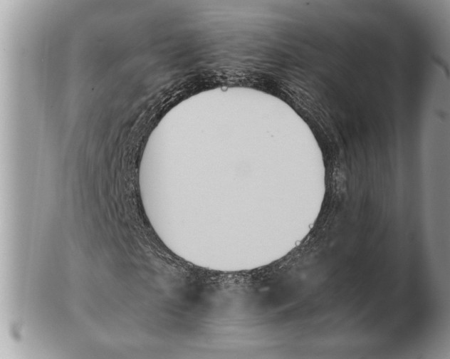 X0000102390865200808221823