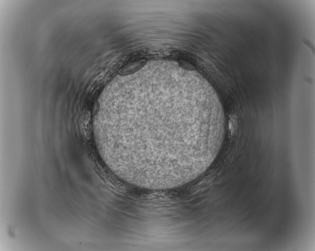 X0000102390867200808221823