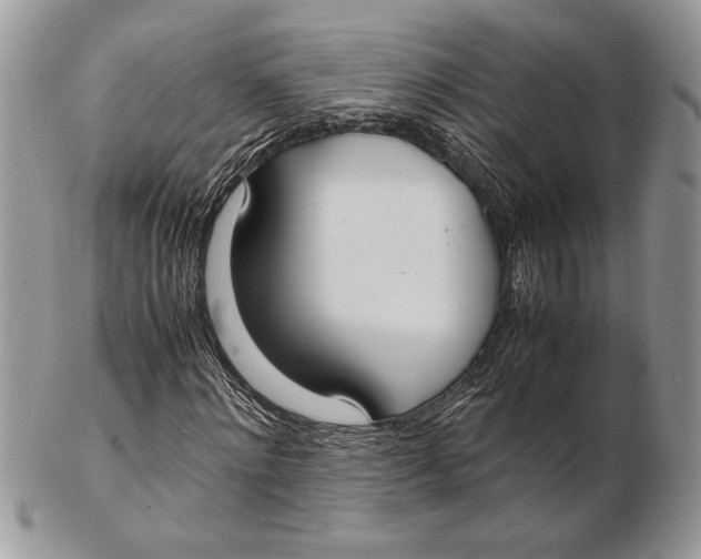 X0000102390868200808221823