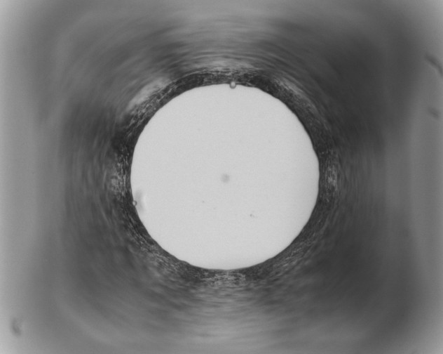 X0000102390869200808221823