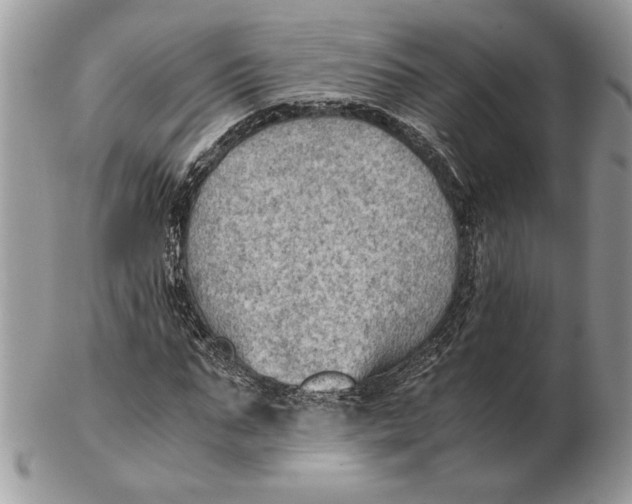 X0000102390871200808221823