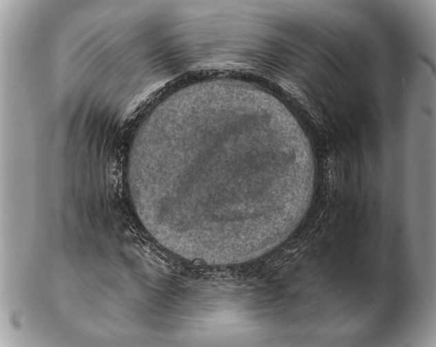 X0000102390872200808221823