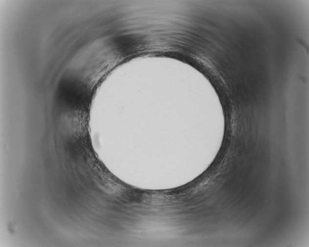 X0000102390873200808221822